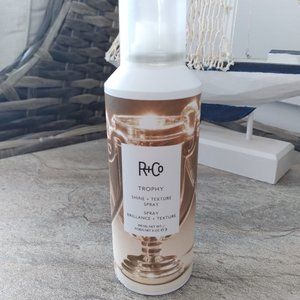 R+CO Shine + Texture Spray